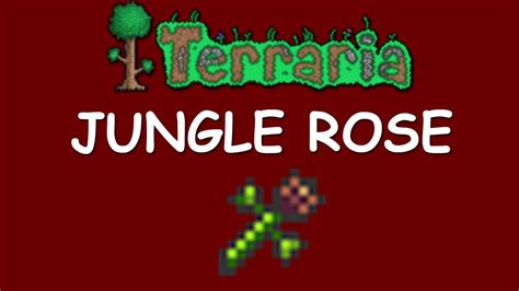 how to get jungle rose terraria.